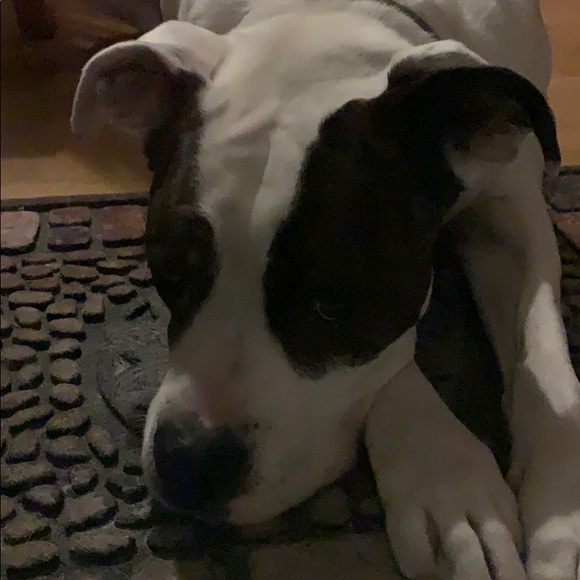 Meet your Posher, Kenny - Picture 1 of 1